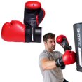 thumbnail image 1 of GoZone 12oz Training Gloves – Red/Black, 1 of 9