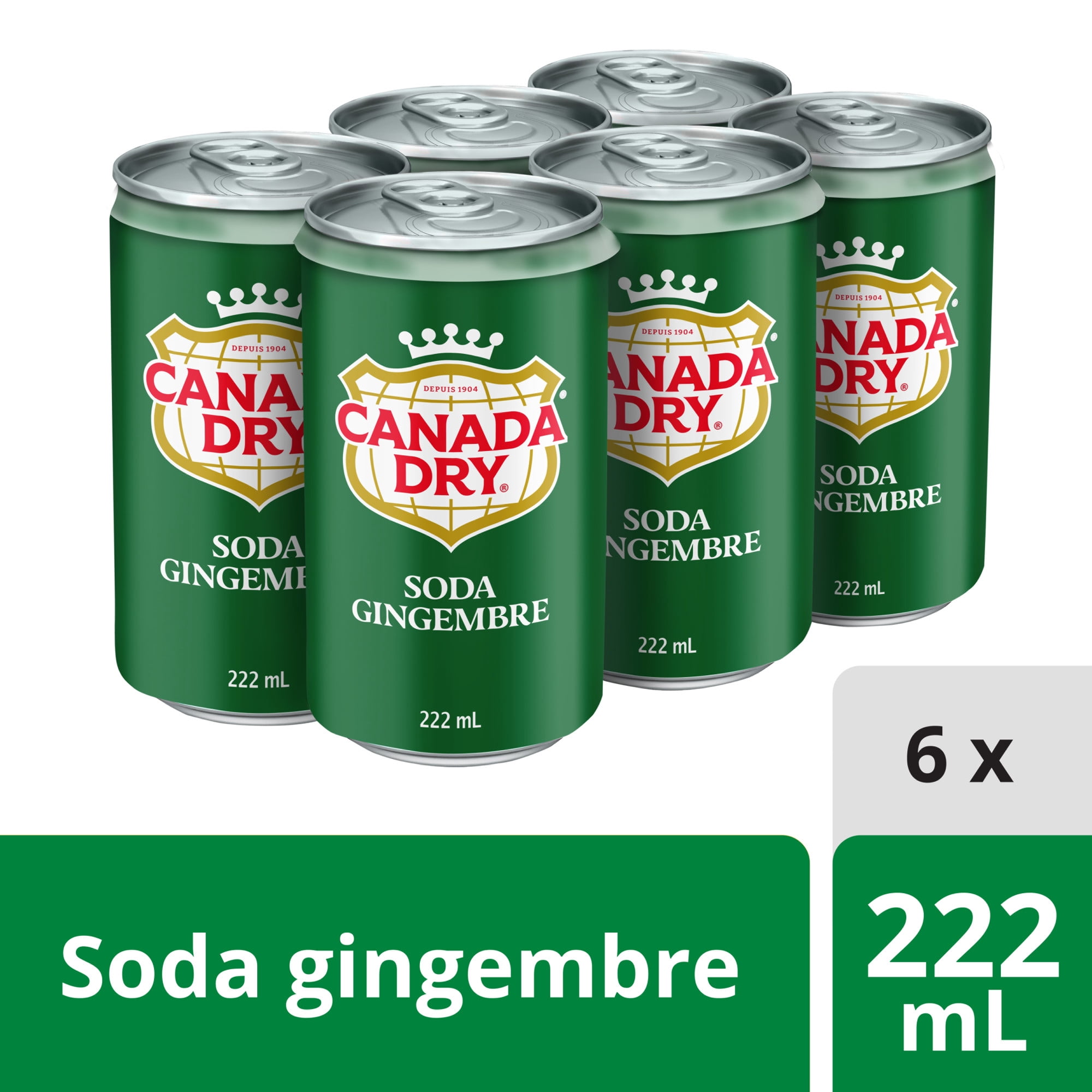 Soda gingembre Canada DryMD - Emballage de 6 mini-canettes de 222 mL