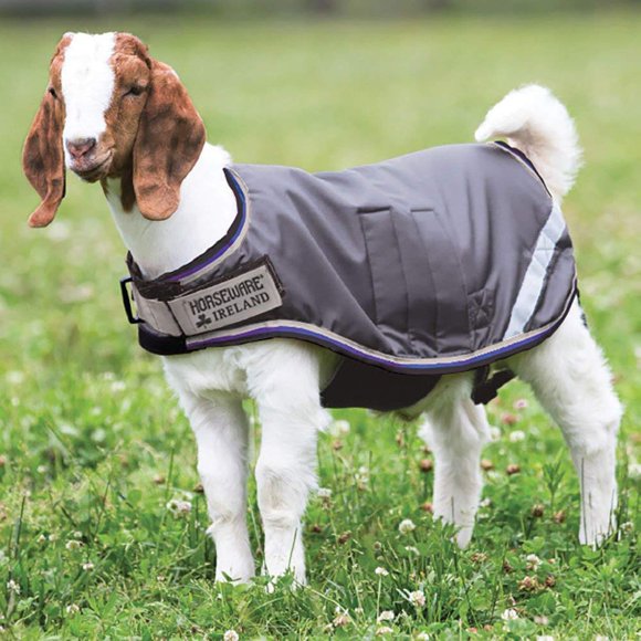 Horseware Manteau de Chèvre (100g Léger)