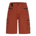 thumbnail image 3 of LSLJS Men Casual Fashion Solid Shorts With Multi-pocket Button Zipper Shorts Pants, Mens Shorts Summer Clothes, 3 of 5