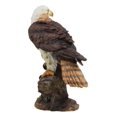 thumbnail image 2 of Ebros Faune Faucon à Queue Rouge sur Souche d'Arbre Statue Oiseaux de Proie Figurine 10"H, 2 of 5