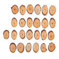 thumbnail image 1 of 25Pcs Pine Oval Piece oblique DIY Home Painting Hand Made Festive Decoration Craft, 1 of 8