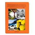thumbnail image 3 of Capri Dolce Vita, 3 of 9
