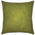 thumbnail image 1 of hometrends Keeley Kiwi Decorative Pillow, 1 of 5