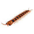 thumbnail image 3 of IROINID Education Toys,Learning Toys,Christmas Toys for Kids,Simulation RC Scolopendra Realistic Remote Control Vehicle Car Animals Insect Large Size Prank Toy Kids Halloween Christmas Birthday Gifts, 3 of 9