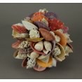 thumbnail image 2 of Figurine Boule Décorative Coquillages Mélangés 7.5 Pouces, 2 of 3