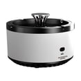 thumbnail image 2 of RXIRUCGD Purificateur 2 en 1 Multifonction Portable Cendrier Propre Cendrier Intelligent pour Intérieur Maison Bureau Ou Voiture, 2 of 3