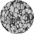 thumbnail image 1 of Ahgly Company Tapis de Zone Rond d'Intérieur Lavable à la Machine, Style Transitionnel, Gris Argenté, 5 Pieds Rond, 1 of 7
