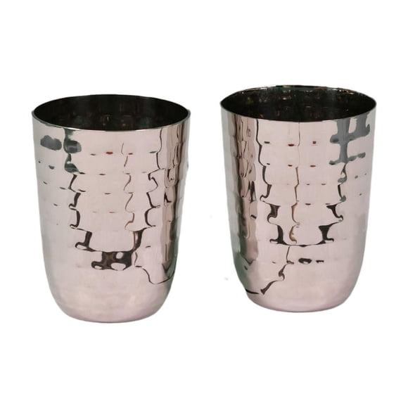 Verka Stainless Steel Drinking Glasses, 2-Piece Set, 19 oz