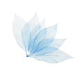 thumbnail image 1 of Abbracc 50Pcs Natural Magnolia Skeleton Leaf Leaves Cards Making Scrapbooking Crafts, 1 of 9