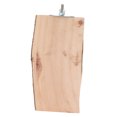 thumbnail image 2 of Platform, Bird Standing Stick Natural Wood  For Small Parakeets  Budgies Cockatiels Conure Lovebirds, 2 of 8