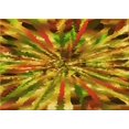 thumbnail image 1 of Ahgly Company Machine Washable Indoor Rectangle Transitional Mahogany Brown Area Rugs, 2' x 4', 1 of 7