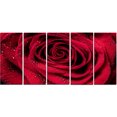 thumbnail image 2 of Tableau  imprimée sur toile Design Art Pédales de rose avec pluie, 2 of 3