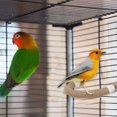 thumbnail image 2 of Yhmxh Birds Standing Rod Cage Claw Sharpening Rod Home and Kitchen kitchen Accessories kitchen Essentials, 2 of 5