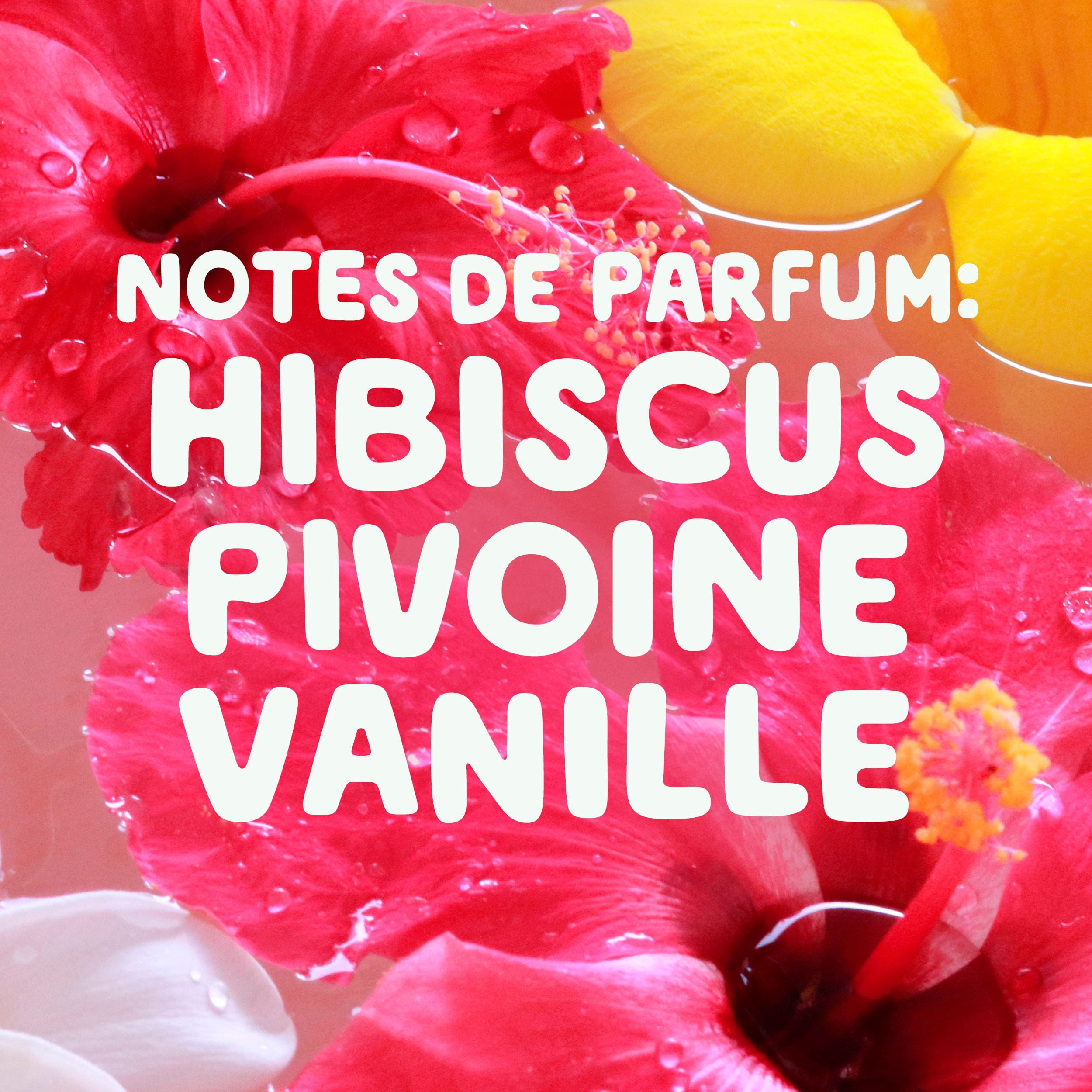 Capsules de détergent à lessive Gain Super Flings, 9 unités, Vibrant, irrésistiblement propre et frais