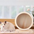 thumbnail image 3 of Roue d'Exercice Silencieuse pour Hamster, Roue d'Exercice Robuste et Écologique pour Exercice en Animaux, 3 of 8