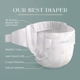 thumbnail image 3 of NEW Pampers AMORE, Size 6, lbs (23-44 lbs), Our Best Diaper, 3 of 26