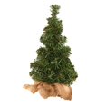 thumbnail image 5 of Creative Mini Burlap Christmas Tree Christmas Day Mall Window Desktop Plant Decoration 20CM or 30CM, 5 of 5