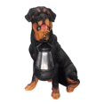 thumbnail image 2 of jinwen Lampe de Jardin à Énergie DEL, Statues de Labrador Golden Retriever avec Lampe Détachable, Rottweiler, 2 of 7