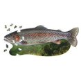 thumbnail image 1 of MADD CAPP I Am Trout 300 Piece Shaped Puzzle, 1 of 1