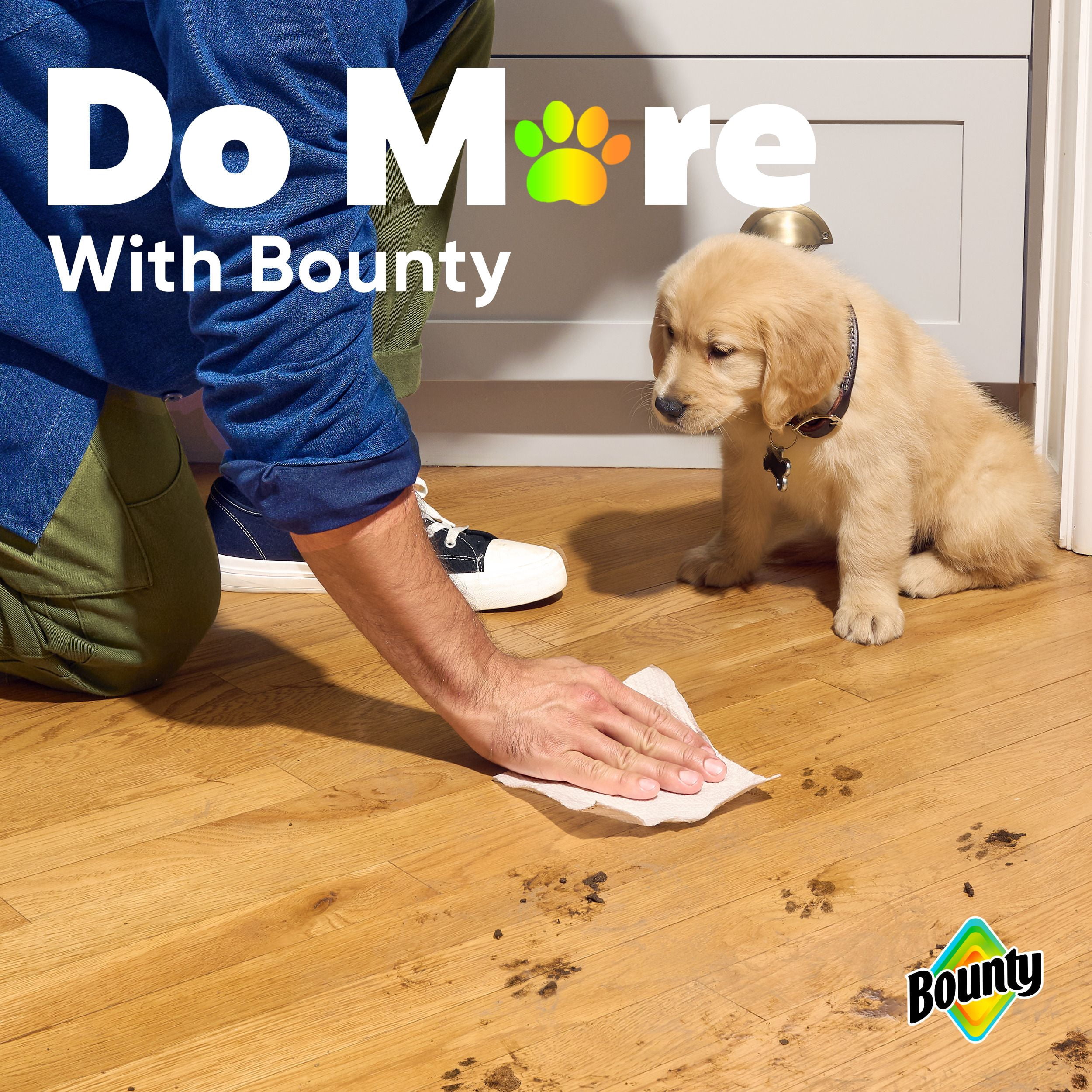 Bounty Paper Towel, 2 Rolls (4 Regular Rolls Equivalent)