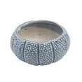 thumbnail image 1 of Thinsony Ceramic Flower Pot For Garden Planting Exquisite Appearance And Air Purification Flowerpot type+10 WITH HOLES, 1 of 6