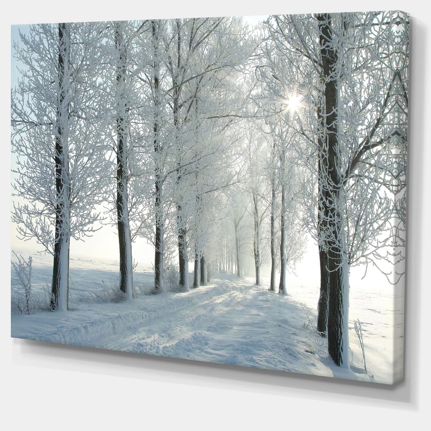 Designart Arbres d'hiver rétro-éclairé par le soleil du matin Art mural sur toile