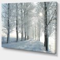 thumbnail image 3 of Designart Winter Trees Backlit by Morning Sun Canvas Wall Art, 3 of 3