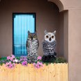 thumbnail image 3 of 2 Pieces Owl Statue for Garden, Waterproof Realistic Vintage Fake Owl, 3 of 8