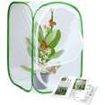 thumbnail image 2 of Papillon Pliable Habitat Alimentation Culture Terrarium en Maille Cage, 2 of 8