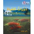 thumbnail image 1 of Collins Big Cat Arabic  Life Cycles: Level 15, 1 of 1