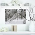 thumbnail image 1 of Buggy Forêt d'Hiver Noir et Blanc - Art sur Toile Forêt Moderne, 1 of 3