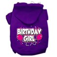 thumbnail image 1 of Birthday Girl Screen Print Pet Hoodies Purple Size Lg (14), 1 of 1