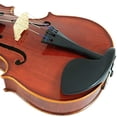 thumbnail image 5 of DLuca CA400VA-13 13-Inch Orchestral Series Handmade Viola Outfit, 5 of 5