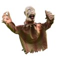 thumbnail image 1 of Glowing Effects Halloween Decor Animated for Party for Front Door (White S), 1 of 7