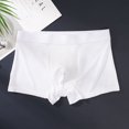 thumbnail image 1 of DPTALR Ice Silk Thin Style Traceless Boxers Business Breathable Men's Summer Comfortable Boxers, 1 of 3