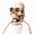 thumbnail image 4 of Halloween Skeleton Key Holder Realistic Human Skull Decor Realistic Halloween Atmosphere Mask For Fireplace Home Halloween Party Decor, 4 of 7