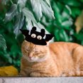 thumbnail image 5 of Chapeau pour Chat Adorable et Ajustable - Doux et Confortable pour les Animaux, 5 of 5