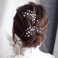 thumbnail image 3 of 2 Pcs Pinces à Cheveux Élégantes Pinces à Cheveux à Pression Outil de Coiffure Mode Pinces à Cheveux Accessoires pour Cheveux Pinces à Cheveux Argent, 3 of 9