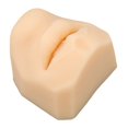 thumbnail image 4 of Modèle de Bouche de Simulation, Format Portable Réutilisable en Silicone Souple Modèle de Bouche Humaine pour l'Enseignement de l'Acupuncture, 4 of 8