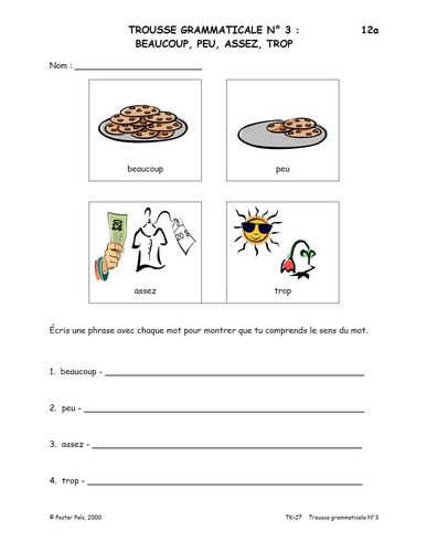 Activités Reproductibles pour la classe de FLS - trousse grammaticale - N° 3