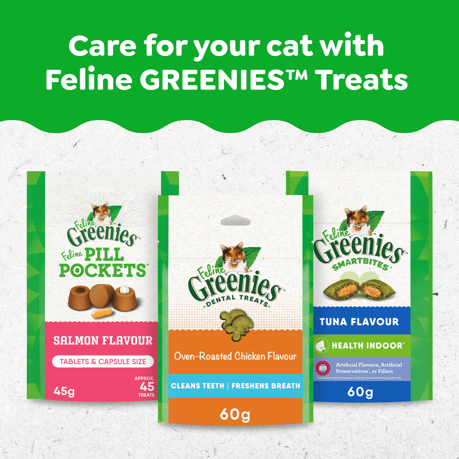 Gâteries dentaires pour chats adultes Greenies, saveur de saumon aromatique