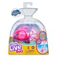 thumbnail image 1 of Little Live Pets Lil' Dippers Single Pack - Bellariva, 1 of 4