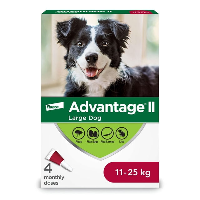 Advantage II Flea Treatment for Large Dogs box with four monthly topical doses for dogs weighing 11 to 25 kg, kills fleas, flea eggs, flea larvae, and lice through contact, featuring green and white packaging with Elanco branding.