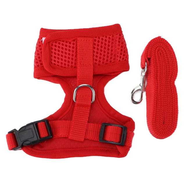 Hen Pet Vest, Light Pet Vest Nylon Webbing For Yard For Outdoor