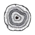 thumbnail image 1 of Yhmxh Big Tree Year Round Carpet, Home Bedroom Outdoor Study Balcony Round Carpet Mat, Washable Floor Mat Non-slip Mat (80cm Round) Washable Rug Anti-slip Rug Rugs for Living Room Outdoor Rug, 1 of 5