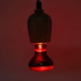 thumbnail image 1 of E27 Base de Lampe Reptile Lumière, Ampoule de Reptile Compacte, Tortue pour Reptile 60W, 1 of 8