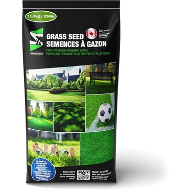 Eco Solutions Premium Grass Seed - Tried and Proven Mixture for 40 Years, Economical Option for New Lawns, Overseeding, Sunny and Shady Areas - Grass Seeds for Lawn Canada. (25, Pounds)