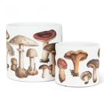 thumbnail image 3 of Small Botanical Mushroom Planter, 3 of 5