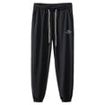 thumbnail image 5 of Pantalon pour Homme Été Ajusté en Maille Respirante Pantalon de Survêtement, 5 of 5